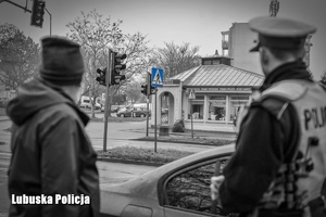 policjant i pieszy obserwują drogę