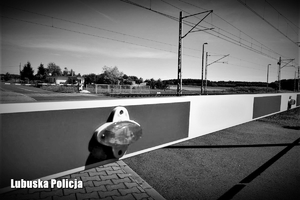 Zamknięte szlabany na przejeździe