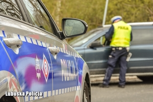 Policjant prowadzi kontrole drogową