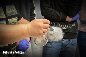 Policjant zbiera ślady ze szklanego słoika