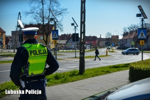 Policjant drogówki obserwujący ruchu pojazdów i sytuację na drodze.