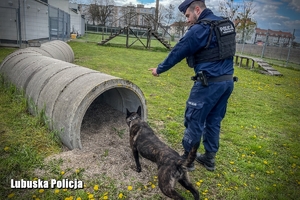policyjny przewodnik ze swoim psem podczas treningu na torze