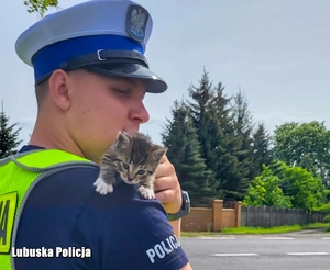 policjant trzyma małego kotka
