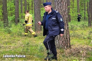 mundurowi przeszukują teren