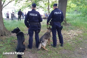 policjanci z psami  w rejonie koncertu