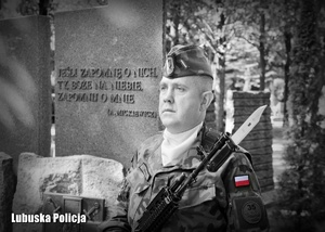 Czarno - białe zdjęcie przedstawiające żołnierza posterunku honorowego przed pomnikiem.