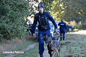 policjant idzie z psem