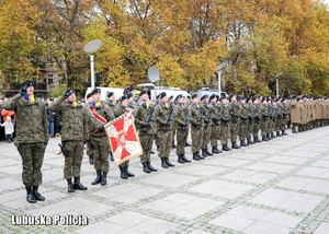 Kompania honorowa wojska stoi w szeregu.
