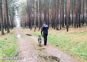 Przewodnik z psem policyjnym na drodze leśnej.