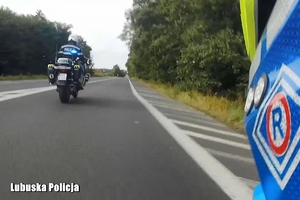policjanci na motocyklach jadą na drodze