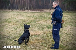 policjantk z psem służbowym