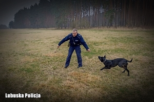 policjant z psem służbowym ćwiczy w terenie