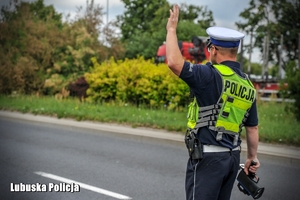 Policjant  ruchu drogowego daje sygnał do zatrzymania