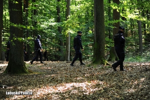Jednostki policji przesukują las