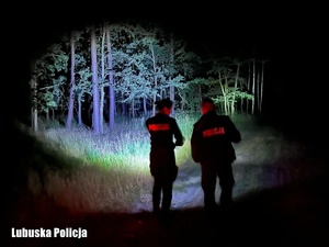 Policjanci przeszukujący las w nocy