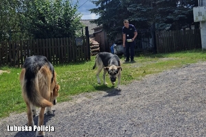 policjant przywołuje psy