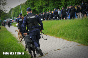 Policjanci z psami służbowymi prowadzą kibiców na stadion