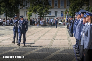 Przegląd pododdziałów