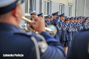 Policjanci stojący w szeregu