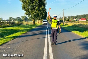 Policjant ruchu drogowego zatrzymuje pojazd do kontroli