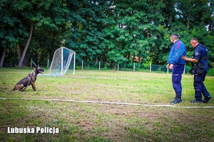 Policjant wraz z psem służbowym