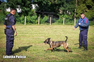 Policjant wraz z psem służbowym