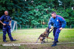 Policjant wraz z psem służbowym