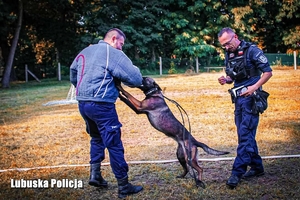 Policjant wraz z psem służbowym