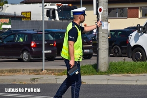 Policjant zatrzymuje pojazd do kontroli