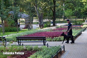 Przewodnik wraz z psem służbowym w trakcie patrolu