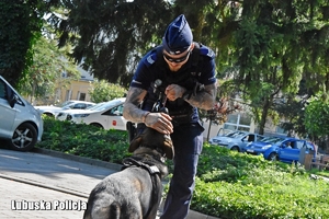 policjant i pies służbowy