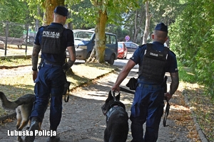 policjanci idą z psami służbowymi