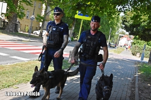 policjanci idą z psami służbowymi