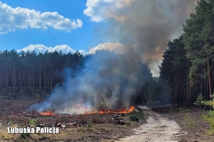 Pożar w obszarze leśnym