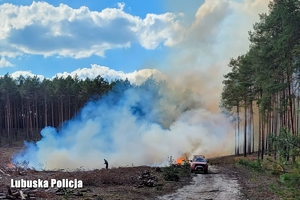 Pożar w obszarze leśnym