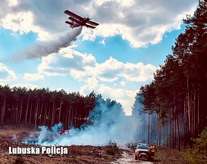 Samolot gaszący pożar