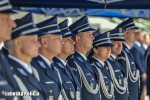 policjanci stojący w szeregu