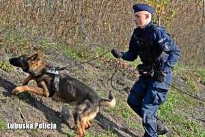 policjant i pies tropiący biegną pod górę