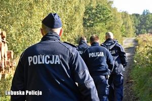 policjanci idą przez las