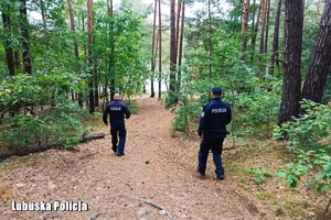 policjanci idą przez las