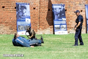 policjant tresuje psa