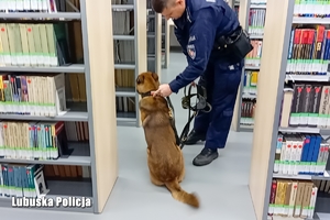 policjant i pies sprawdzają pomieszczenie w bibliotece