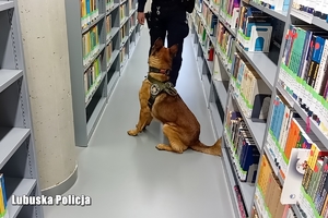 pies służbowy i policjant w bibliotece