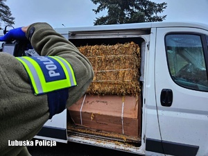 policjant robi oględziny busa