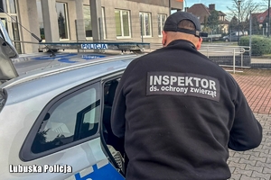 Inspektor przy radiowozie policji