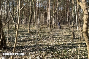 Policjanci w trakcie poszukiwań