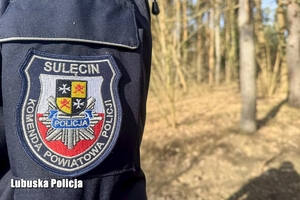 Policjanci w trakcie poszukiwań