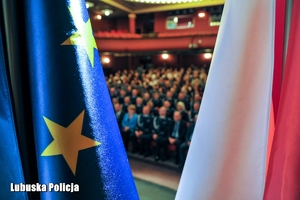 Flagi Unii Europejskiej i Polski, a w tle widownia w teatrze.