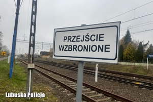 Tablica