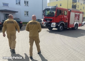 Strażacy idący w kierunku bloku mieszkalnego.